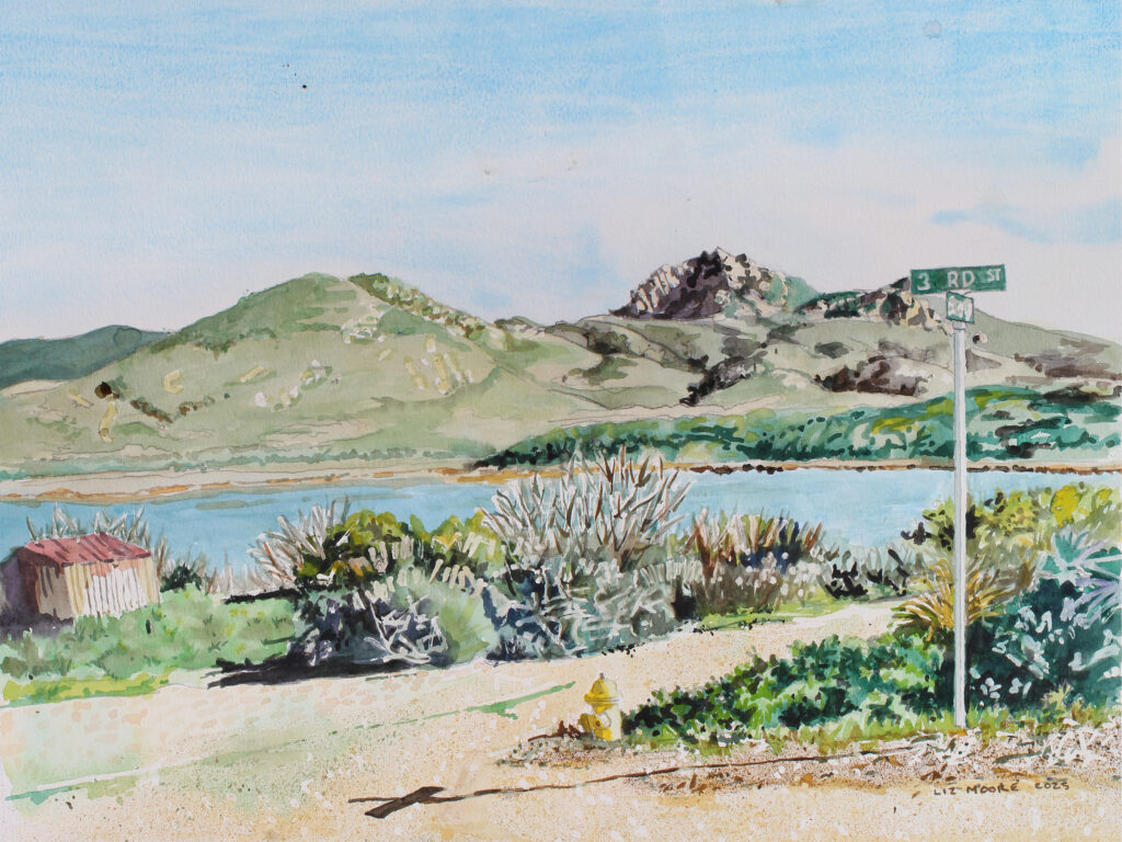 Estuary at Third St