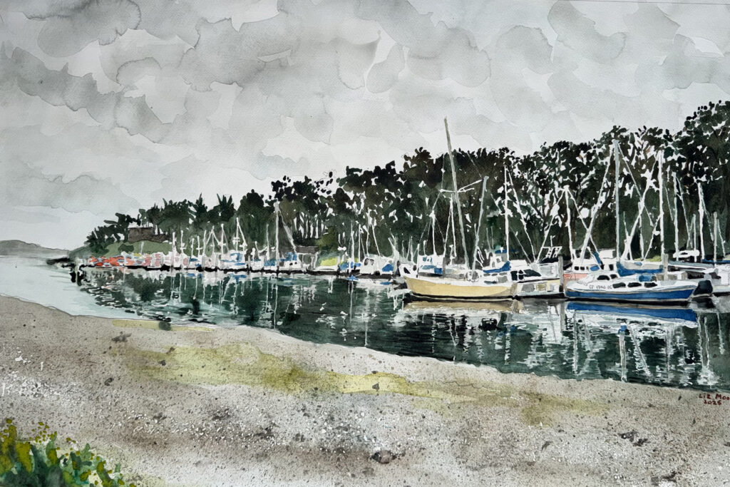 Morro Bay Marina Estuary