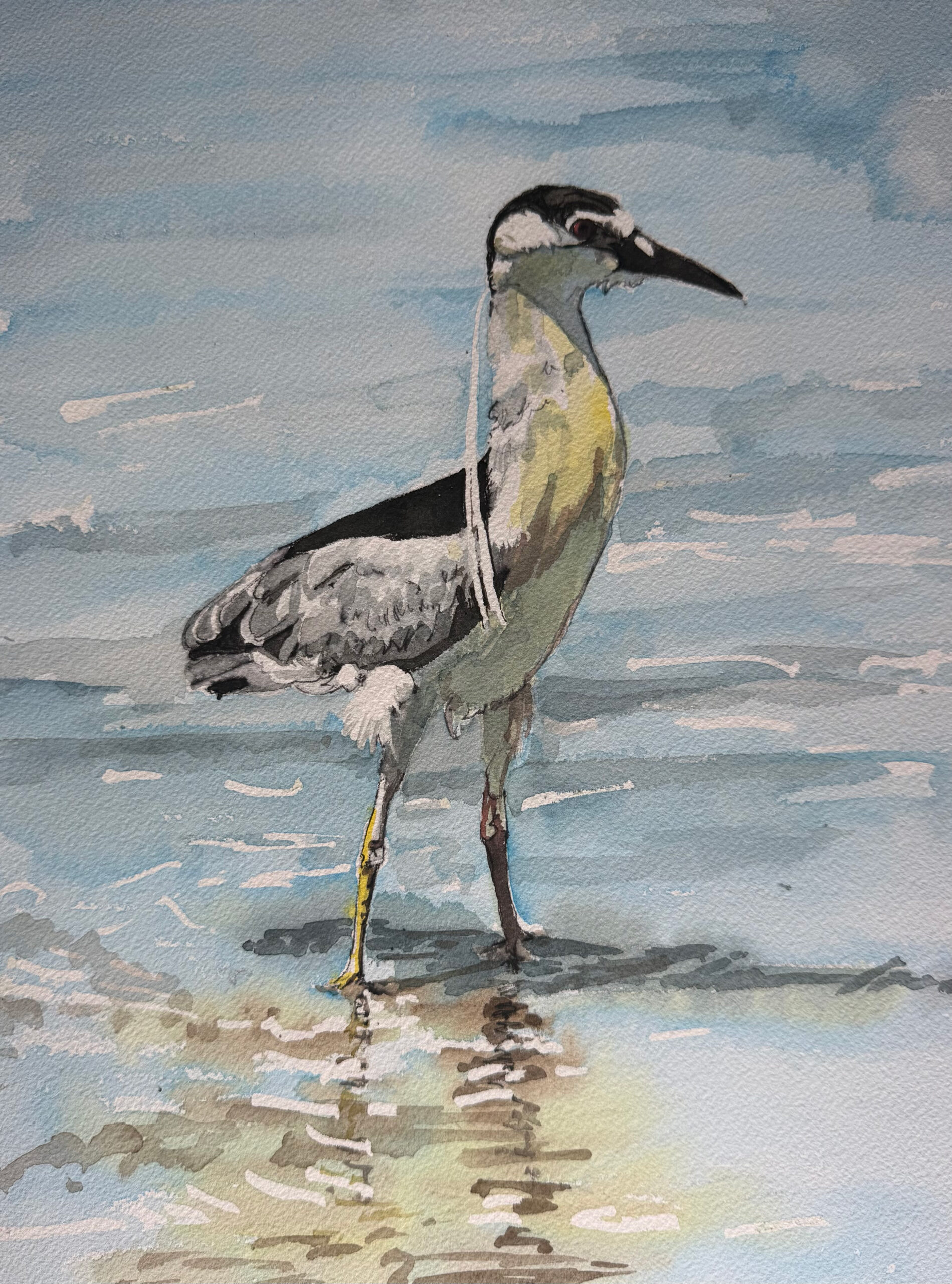 Hooded Heron